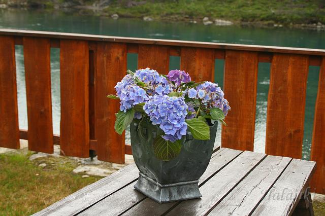 Norwegia (2194).JPG - Norwegia - Skjak